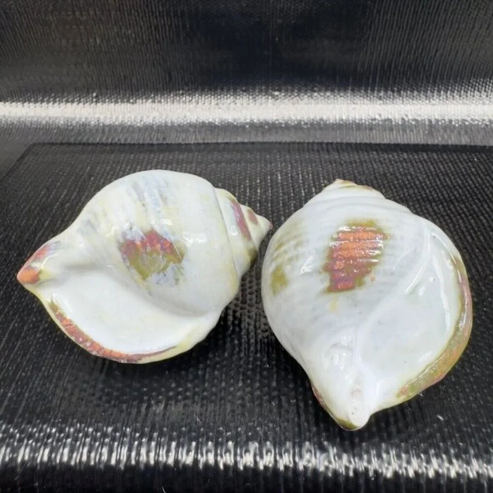 Hand Made Card Holder Stoneware Shell Conch Set 2 Decorative Hand Crafted Figure